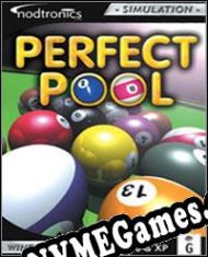 Perfect Pool (2002/ENG/Português/RePack from Red Hot)