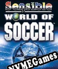 Sensible World of Soccer (2007) (2022) | RePack from DJiNN