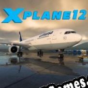 X-Plane 12 (2022/ENG/Português/Pirate)