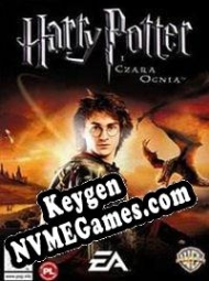 chave livre Harry Potter and the Goblet of Fire