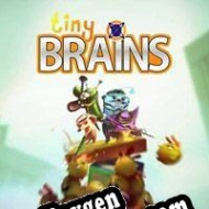 gerador de chaves de CD Tiny Brains