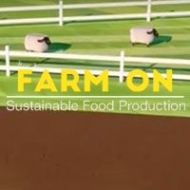 Tradução do Farm On! para Português do Brasil