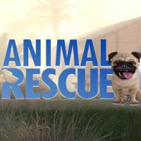 Treinador liberado para Animal Rescue [v1.0.8]