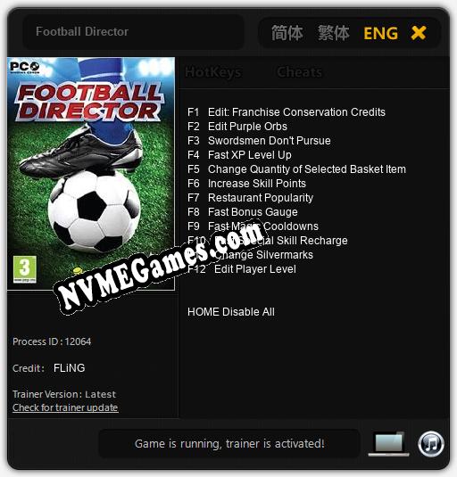 Football Director: Cheats, Trainer +12 [FLiNG]