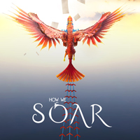 How We Soar: Trainer +15 [v1.3]