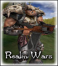 Realm Wars: Cheats, Trainer +14 [FLiNG]