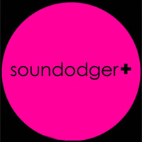 Soundodger+: Cheats, Trainer +13 [dR.oLLe]