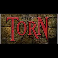 Torn (2001): Treinador (V1.0.65)