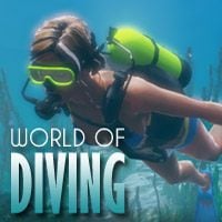 World of Diving: Treinador (V1.0.1)